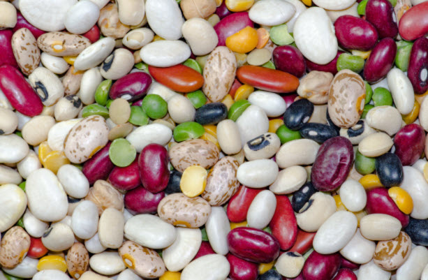 beans